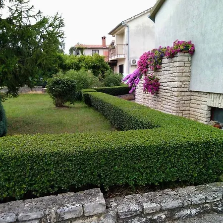 Apartman Lux D'or *