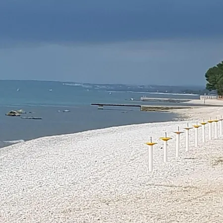 Lux D'or