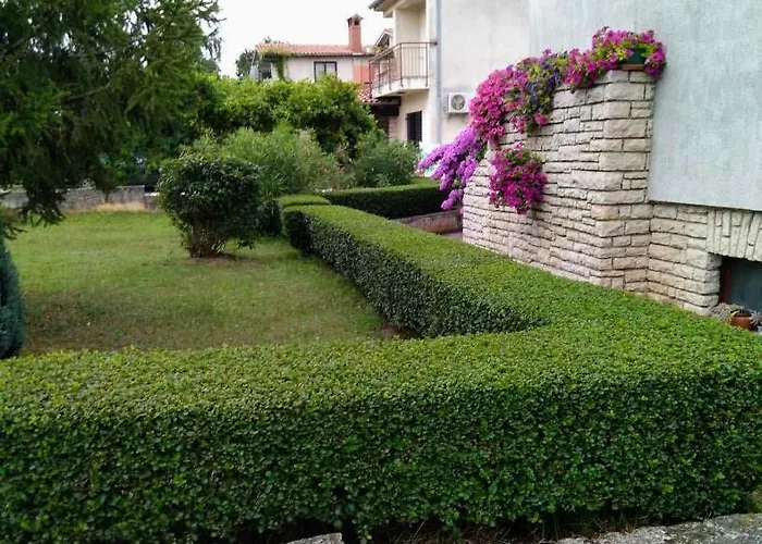 Appartement Lux D'or *