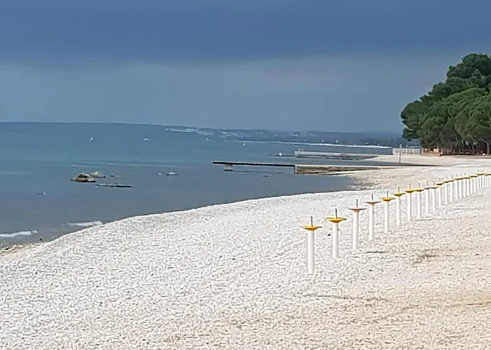 Lux D'or